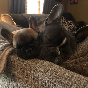 Meet your Posher, Michele